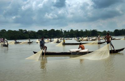 হালদায় আবারও ডিম ছাড়ছে মা-মাছ, আশায় বুক বেঁধেছেন ডিম আহরণকারীরা