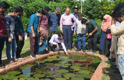 একটি ব্যাঙ কৃষকের প্রায় ৮ কোটি টাকার ফসল বাঁচায়!