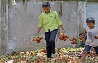 তুরস্ক থেকে আমদানি করা টিসিবির ২০০ টন পেঁয়াজ নষ্ট