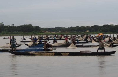 হালদা নদীতে একটি ইলিশ মাছ!