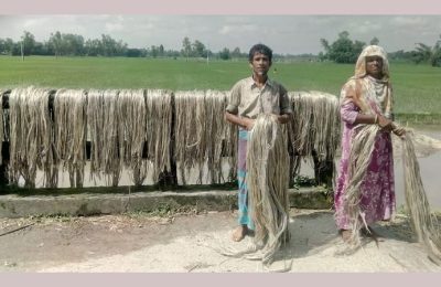 পাটের সুদিন : কৃষকের মুখে হাসি