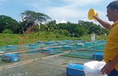 কুমিল্লায় খাঁচায় ভাসমান পদ্ধতিতে মাছ চাষে স্বাবলম্বী হানিফ