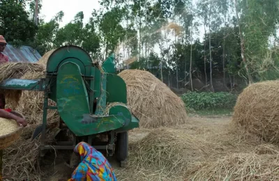 সরকারি কেন্দ্রে কৃষকেরা ধান বেচতে পারেনা, লাভ খাচ্ছে দালালরা